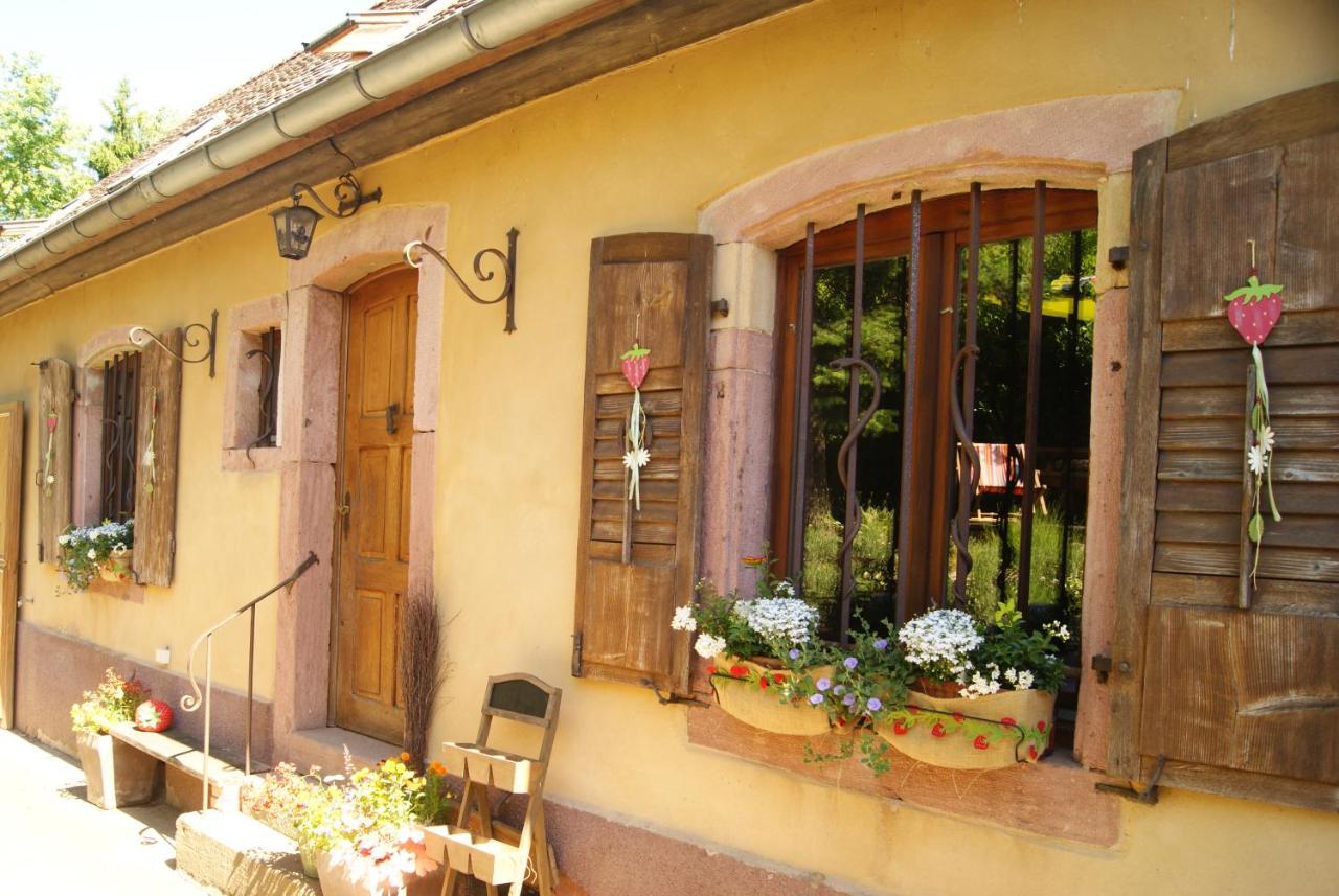 Gîte du Thalala Bernardvillé Exterior foto