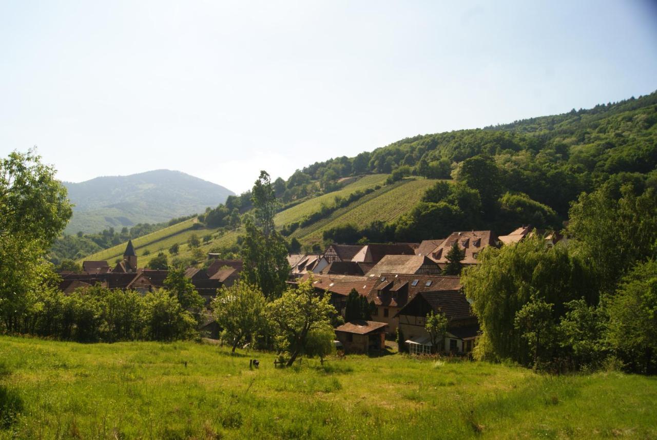 Gîte du Thalala Bernardvillé Exterior foto